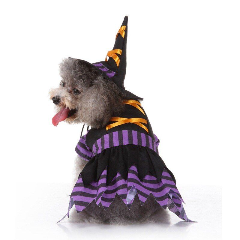 Púrpura caos pandilla Los 55 disfraces para perros más originales para Halloween