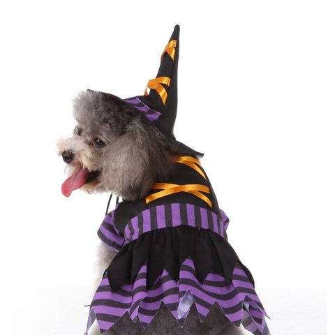 Recuerdo básico Lleno Los 55 disfraces para perros más originales para Halloween