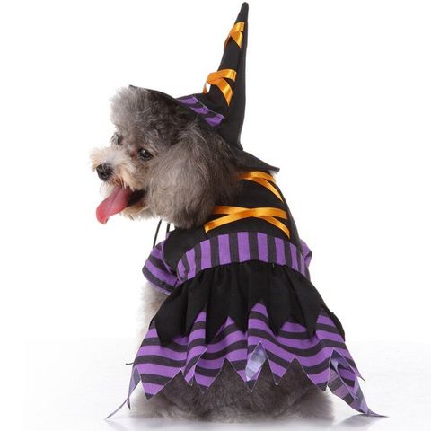 Los disfraces para perros más originales para Halloween