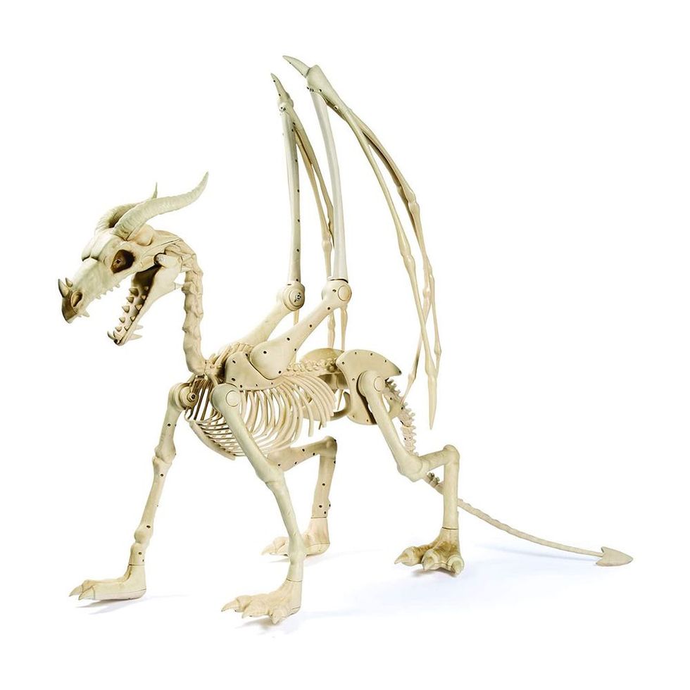 Dragon Skeleton Decoration