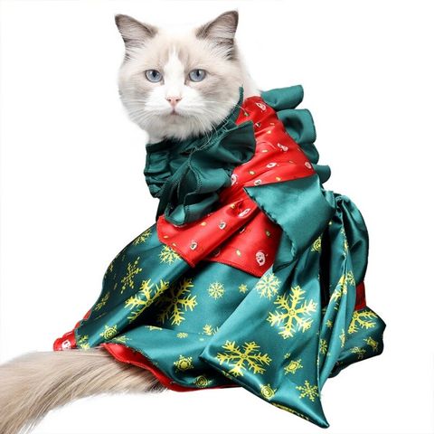 Abiertamente inversión Provisional 48 disfraces para gatos bonitos y originales para Carnaval