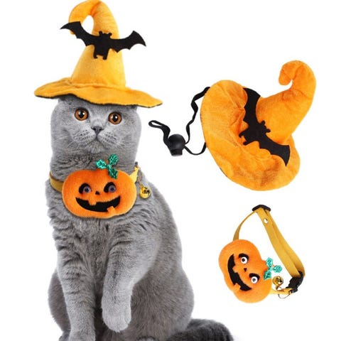 ADOGGYGO Disfraz De Gato De Halloween, Capa De Bruja, Sombrero De Mago, Accesorios De Halloween, Disfraces De Mascotas Para Gatos, Gatitos, Cosplay ADOGGYGO Disfraz De Gato De Halloween, Capa De Bruja, Sombrero De Mago, Accesorios De Halloween, Disfraces De Mascotas Para Gatos, Gatitos, Cosplay