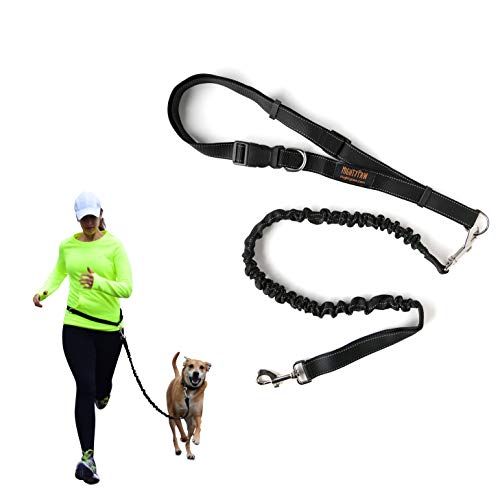 Mighty Paw Hands Free Dog Leash 