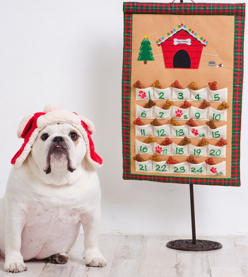 10 Best Dog Advent Calendars to Buy in 2022