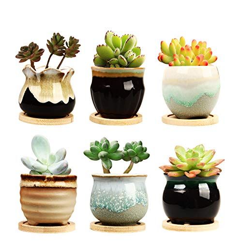 Brajttt 2.5-Inch Ceramic Succulent Planter Pots