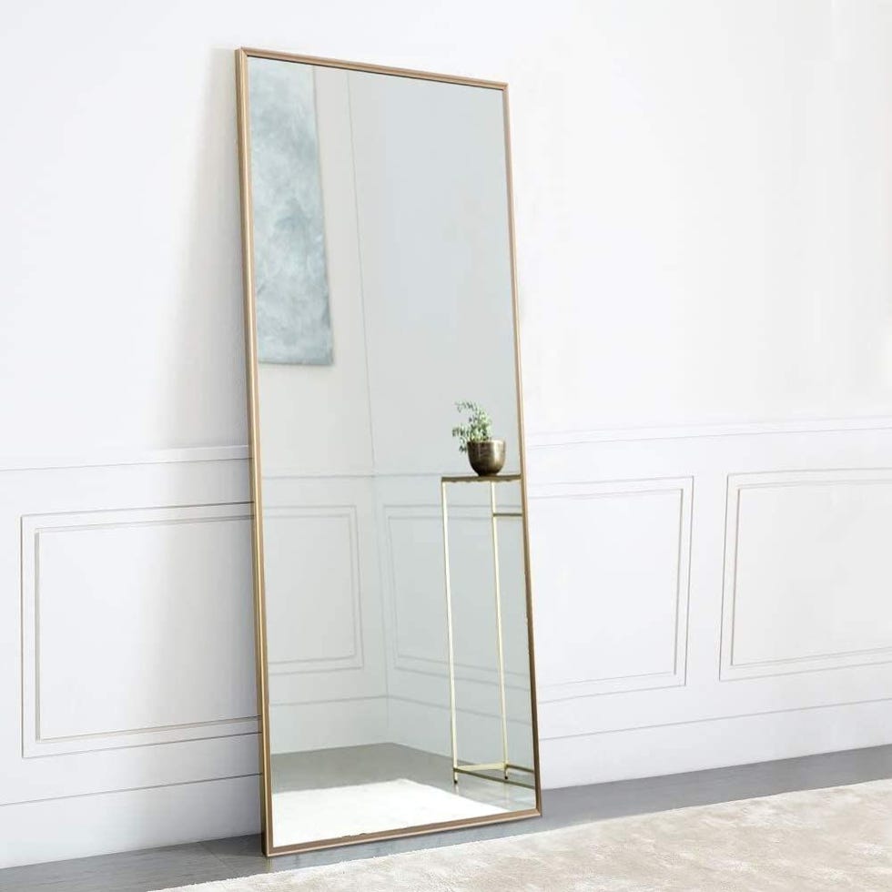 NeuType Full Length Mirror