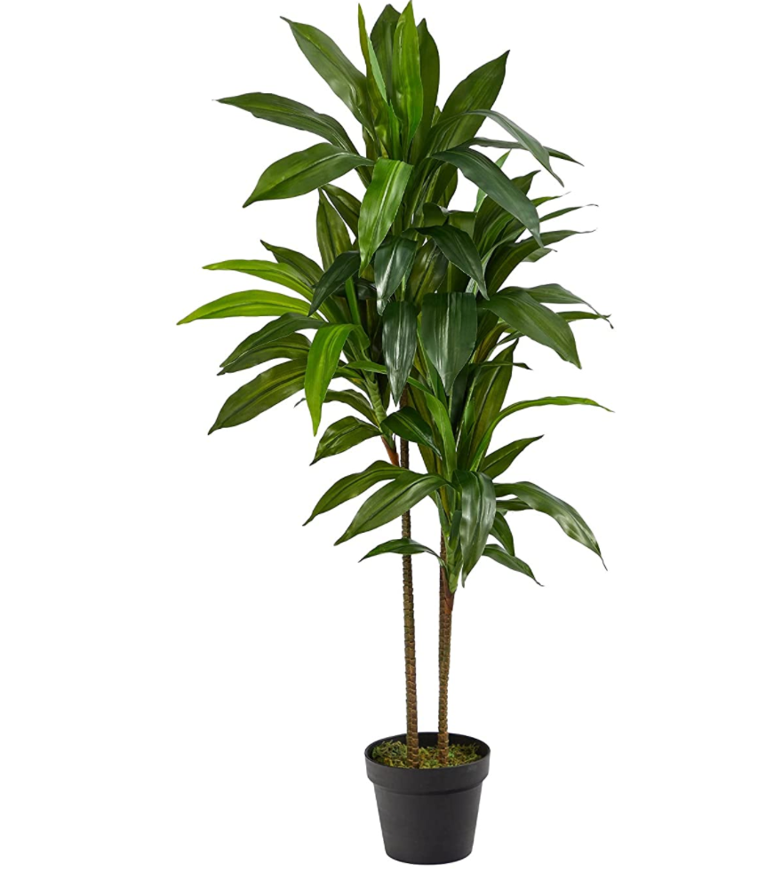 Nearly Natural 43in. Dracaena Silk Artificial Plant