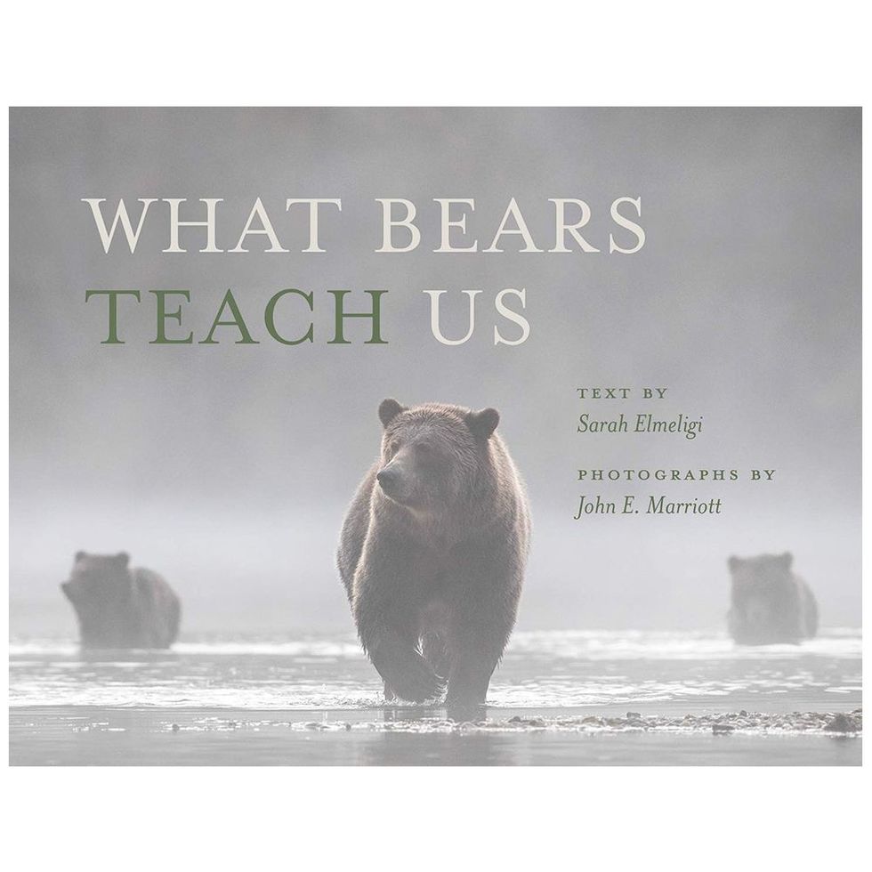 ‘What Bears Teach Us’ by Sarah Elmeligi and John E. Marriott