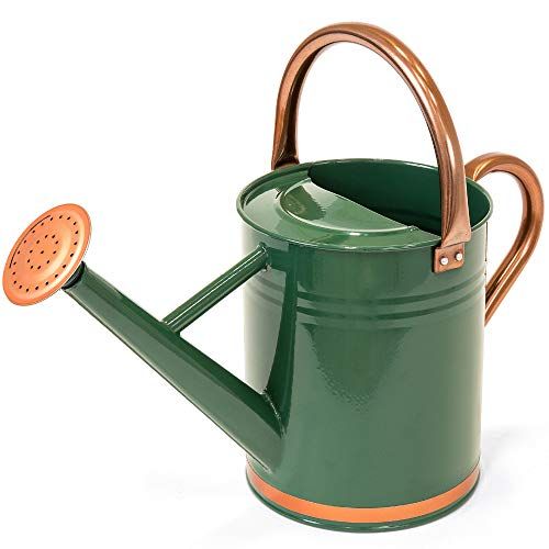 11 Best Watering Cans Of 2023   1632419404 41Ay2LlgEtL. SL500  