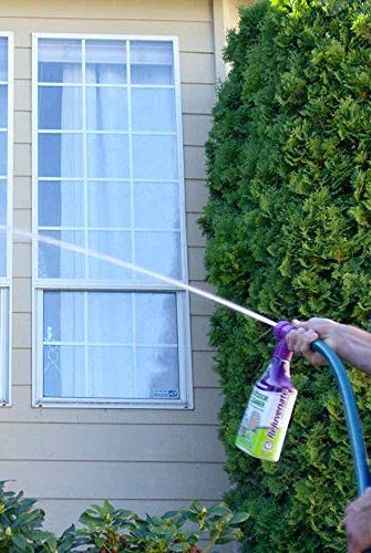 Outdoor Window Spray and Rinse Cleaner 