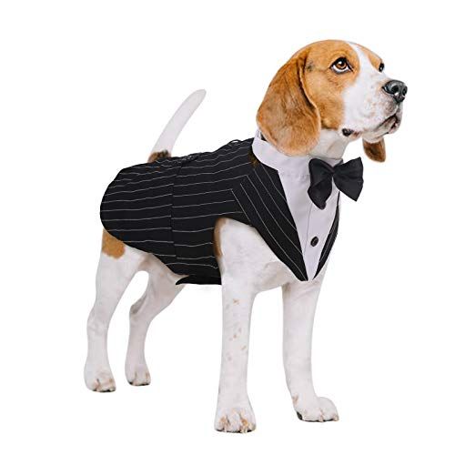 Tuxedo Dog Suit Costume