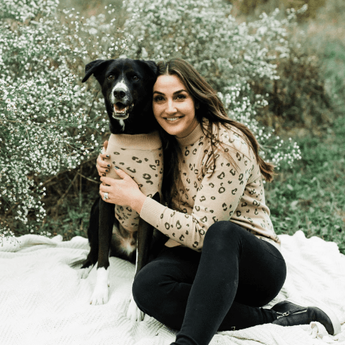 matching dog sweatshirts