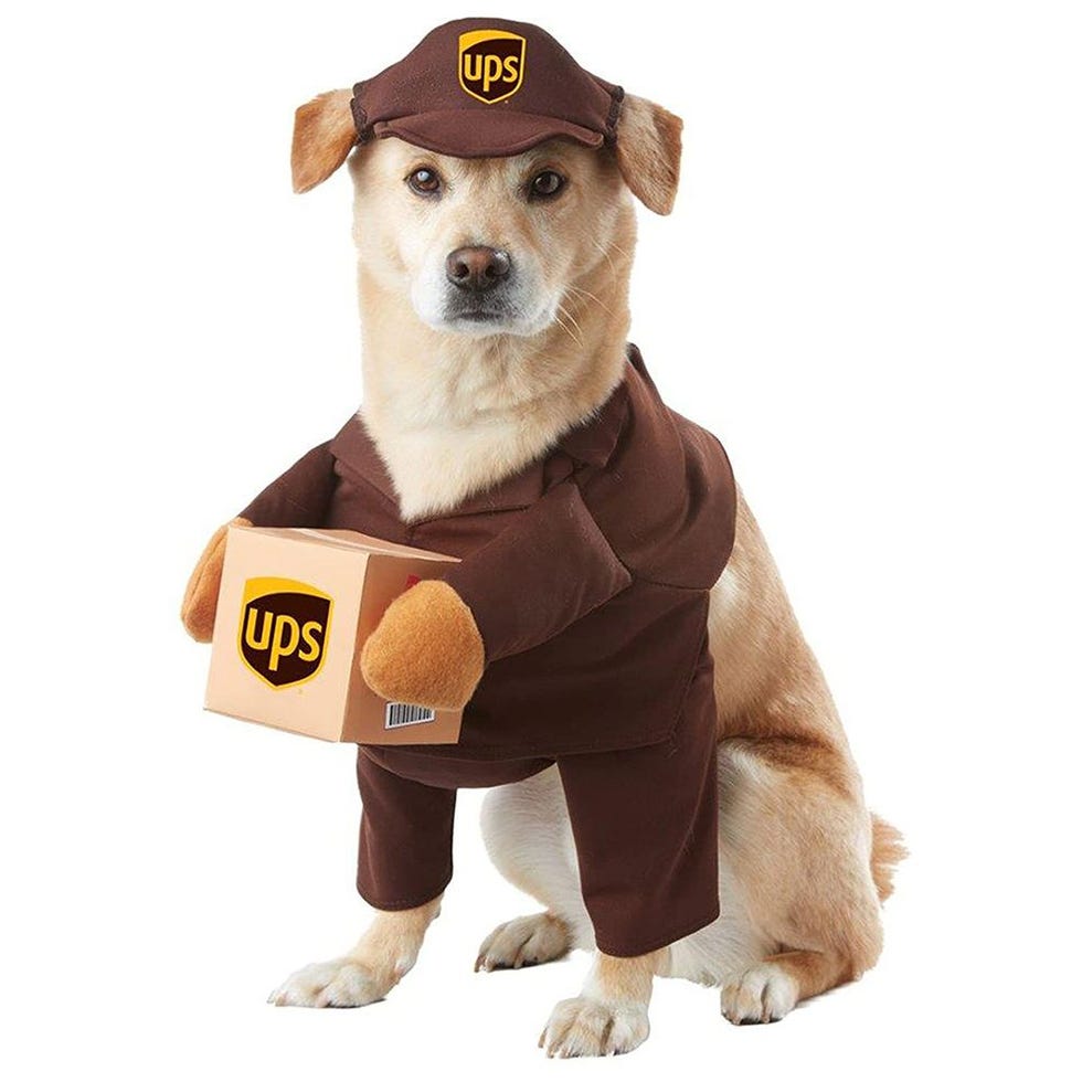 UPS Pal Dog Costume