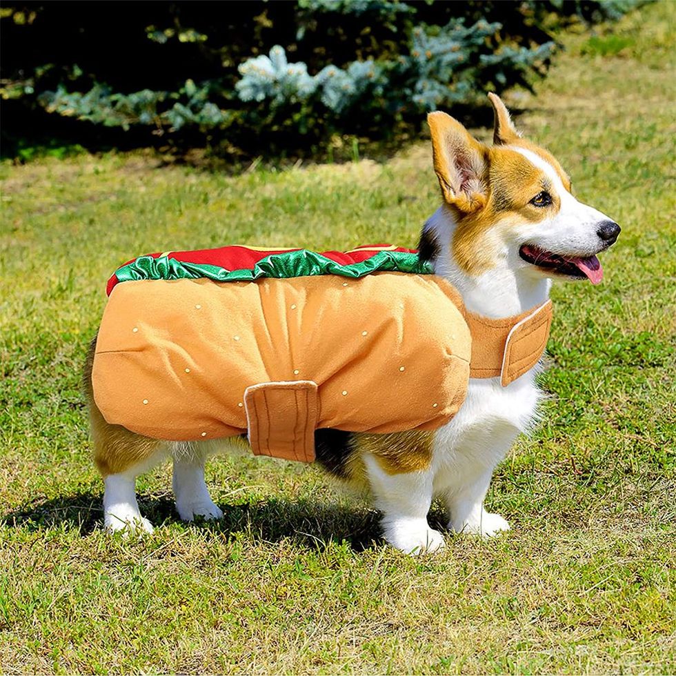 Hot Dog Design Pet Costume