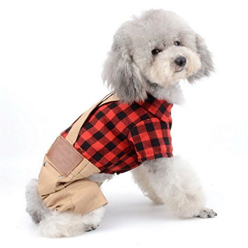 Lumberjack Dog Costume