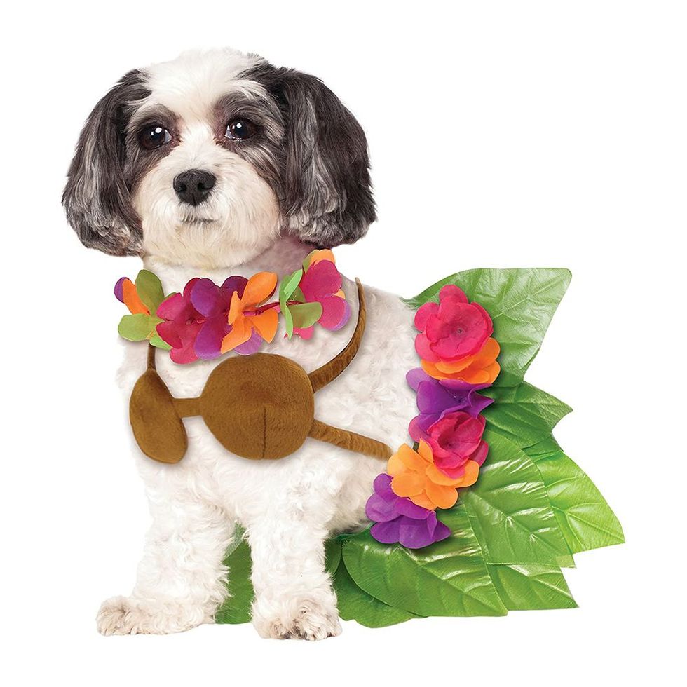 Hula Girl Dog Costume
