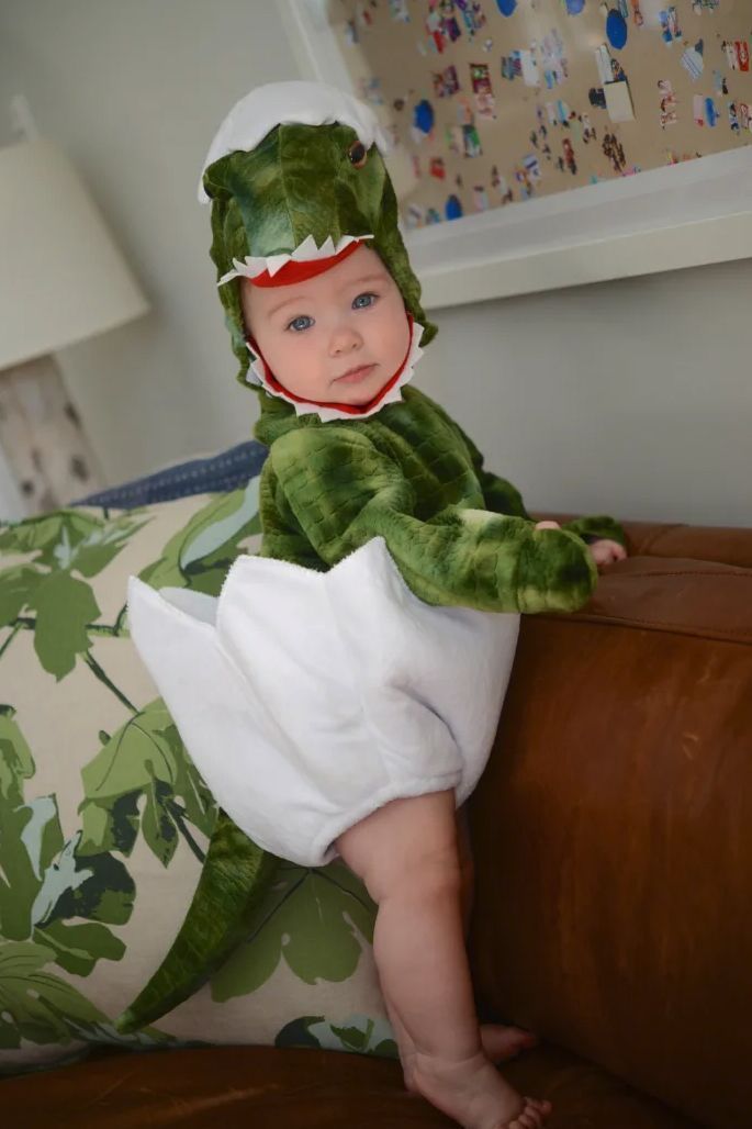 Baby Dinosaur Infant Toddler Halloween Costume