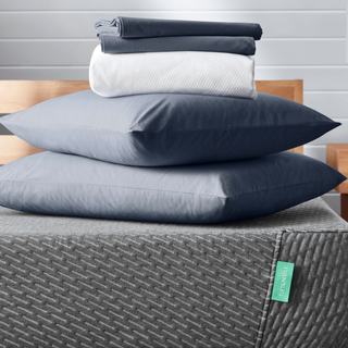 Mint Mattress Bundle