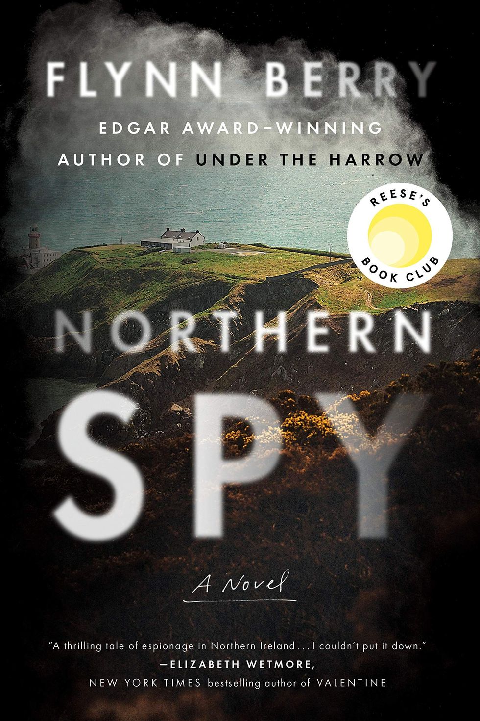 <i>Northern Spy</i>, by Flynn Berry