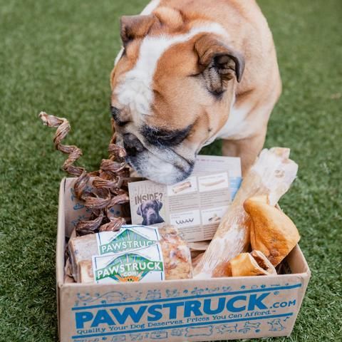 what is the best monthly dog box