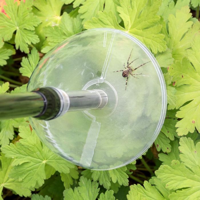 SPIDER CATCHER - Perche attrape insecte - Best Of TV 