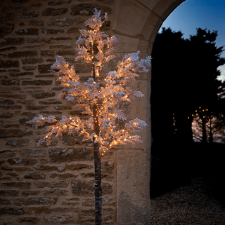 Indoor Outdoor Large Light Up Blossom Tree - Soft White