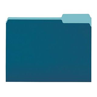 Basics File Folders