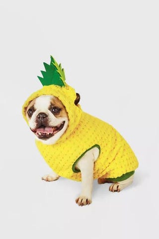 Pineapple Dog Hoodie