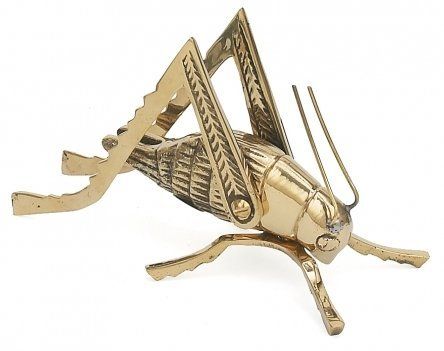 Get the Look: Solid Brass Cricket