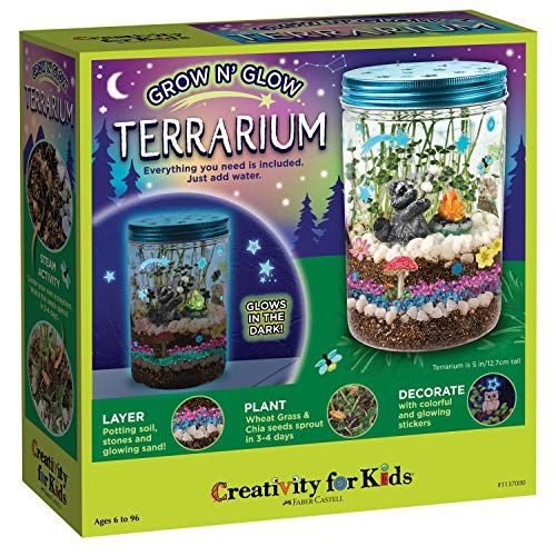 Grow N’ Glow Terrarium Kit for Kids