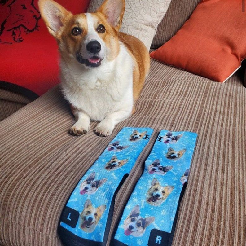 Customized Dog Sock
