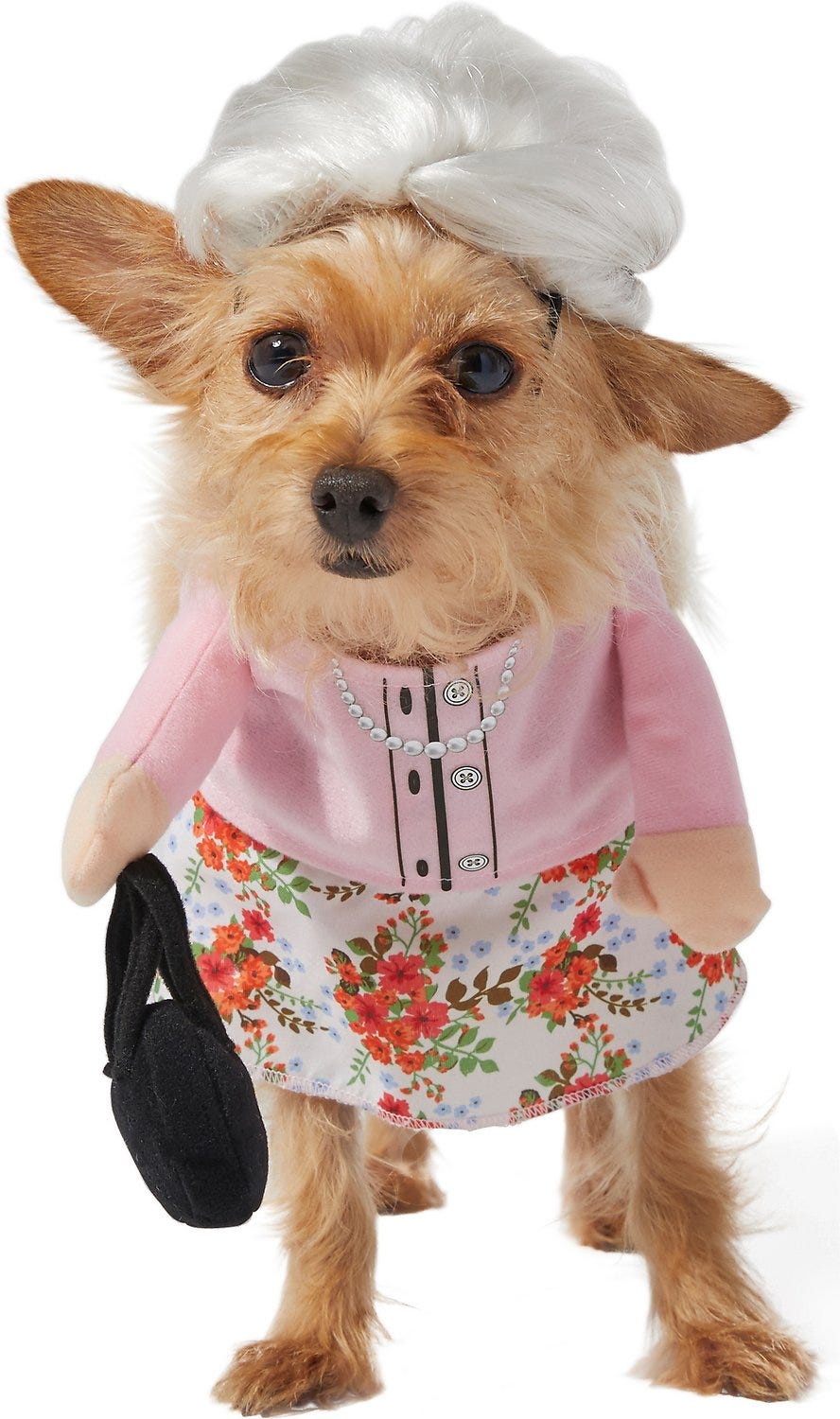 Granny Dog