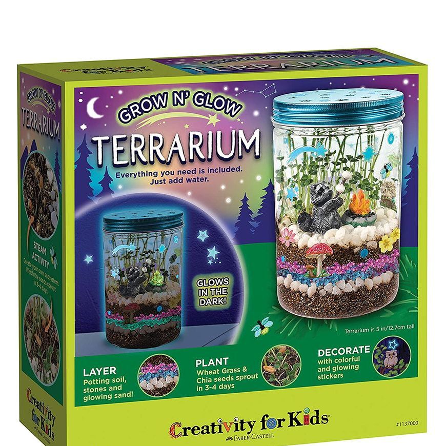 Grow 'N Glow Terrarium Kit 