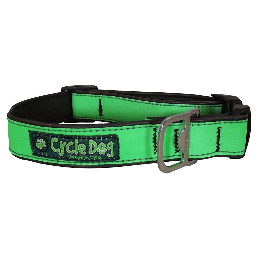Our Complete List of 33+ Cute Dog Collars