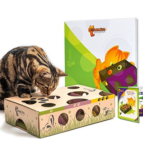 Cat Lover Gift Ideas - 35 Best Gifts for Cat Lovers in 2022 - Caterpillar  Cat Instruct