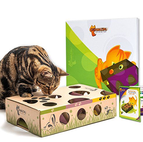 Interactive Treat Maze & Puzzle Feeder for Trident Cats