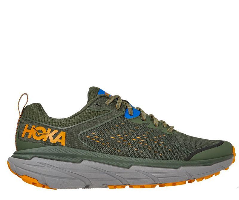 hoka asics