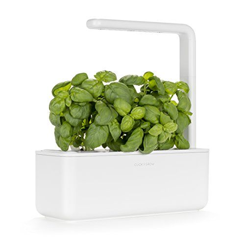 Indoor Herb Garden Kit with Grow Light