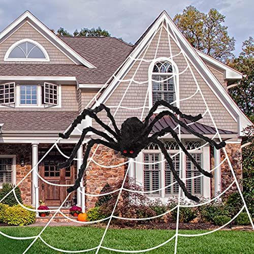 Large Spider Web 