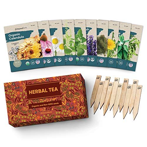 Herbal Tea Seeds Variety Pack 