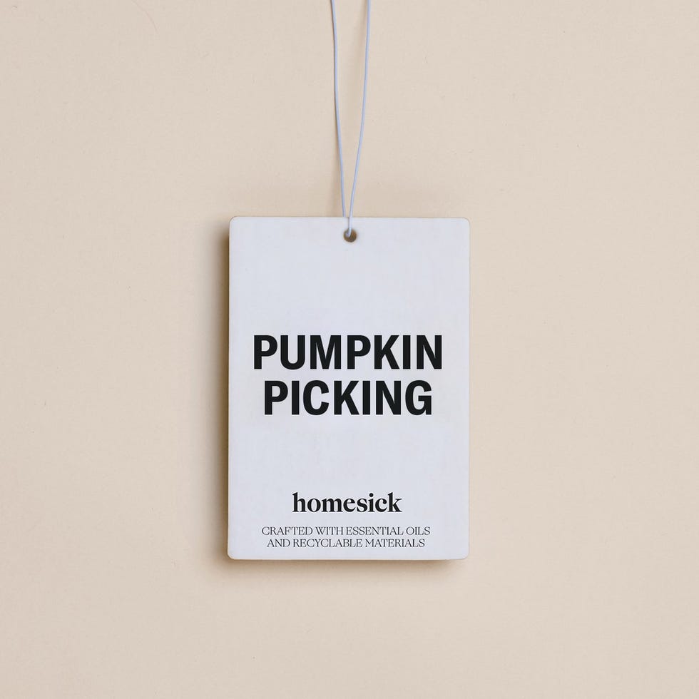 Pumpkin Picking Car Freshener