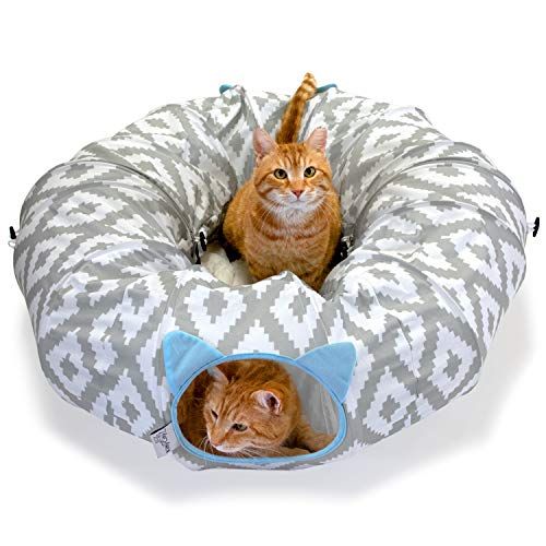 Cat Toys Kitten Spring Toy Bouncy Interactive Hunting Teasing Playing Cat  Toy
