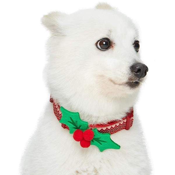 Christmas Holly Dog Collar