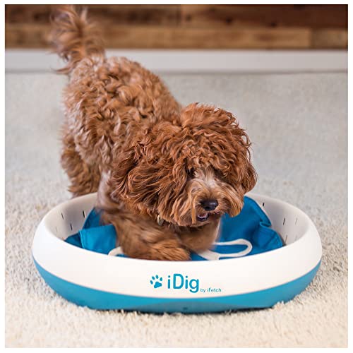 20 Best Interactive Dog Toys 2023 - Best Toys to Keep Dogs Busy