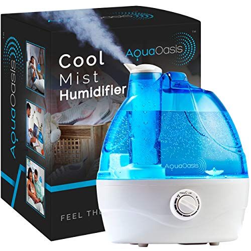 The 6 Best Humidifiers for Dry Skin