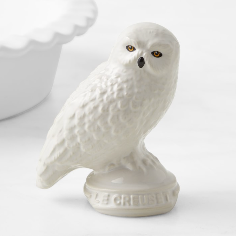 Hedwig Pie Bird