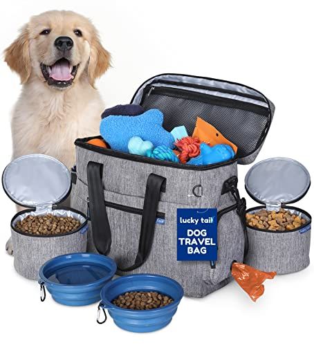 76 Best Inexpensive And Unique Gifts For Dog Lovers In 2023