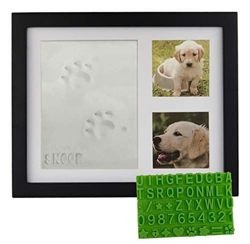 66 Best Gifts for Dog Lovers 2022
