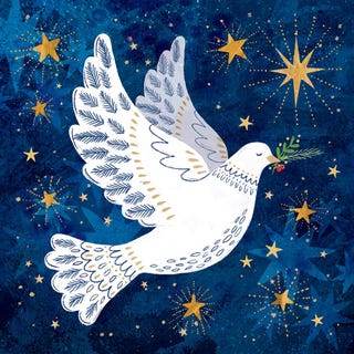 Message of Peace Charity Christmas Cards, Amnesty International, £4.95