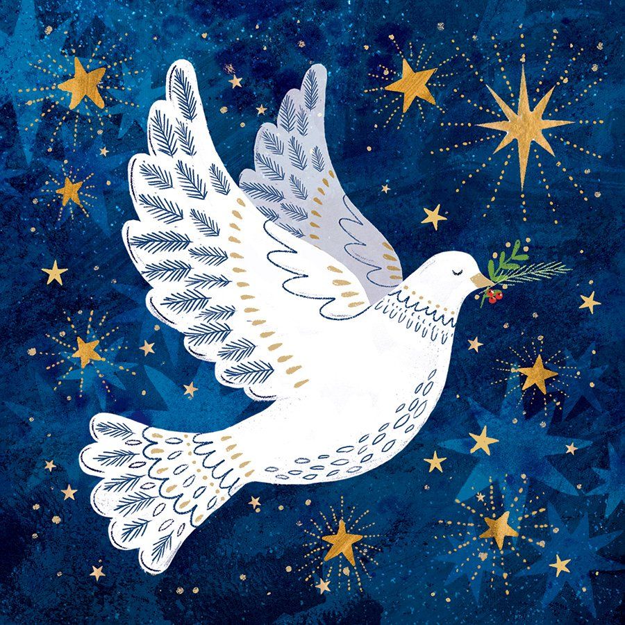 Message of Peace Charity Christmas Cards
